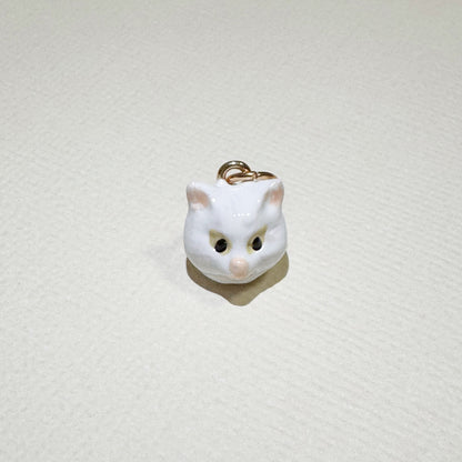 CAT CHARM